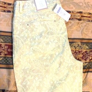 Vintage Lace Casual Sateen Skimmer Pants